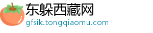 埃因霍温主帅博斯谈欧冠抽签：尤文很有实力，但国米更胜一筹-东躲西藏网